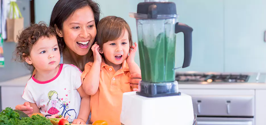 Juicer and Mixer Blender Repair in Malden