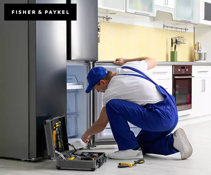 Top-Rated Fisher & Paykel Appliance Experts: Your Brand Specialist in Malden, MA
